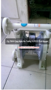 Bơm màng TDS DS10-PAL-OPTP-02
